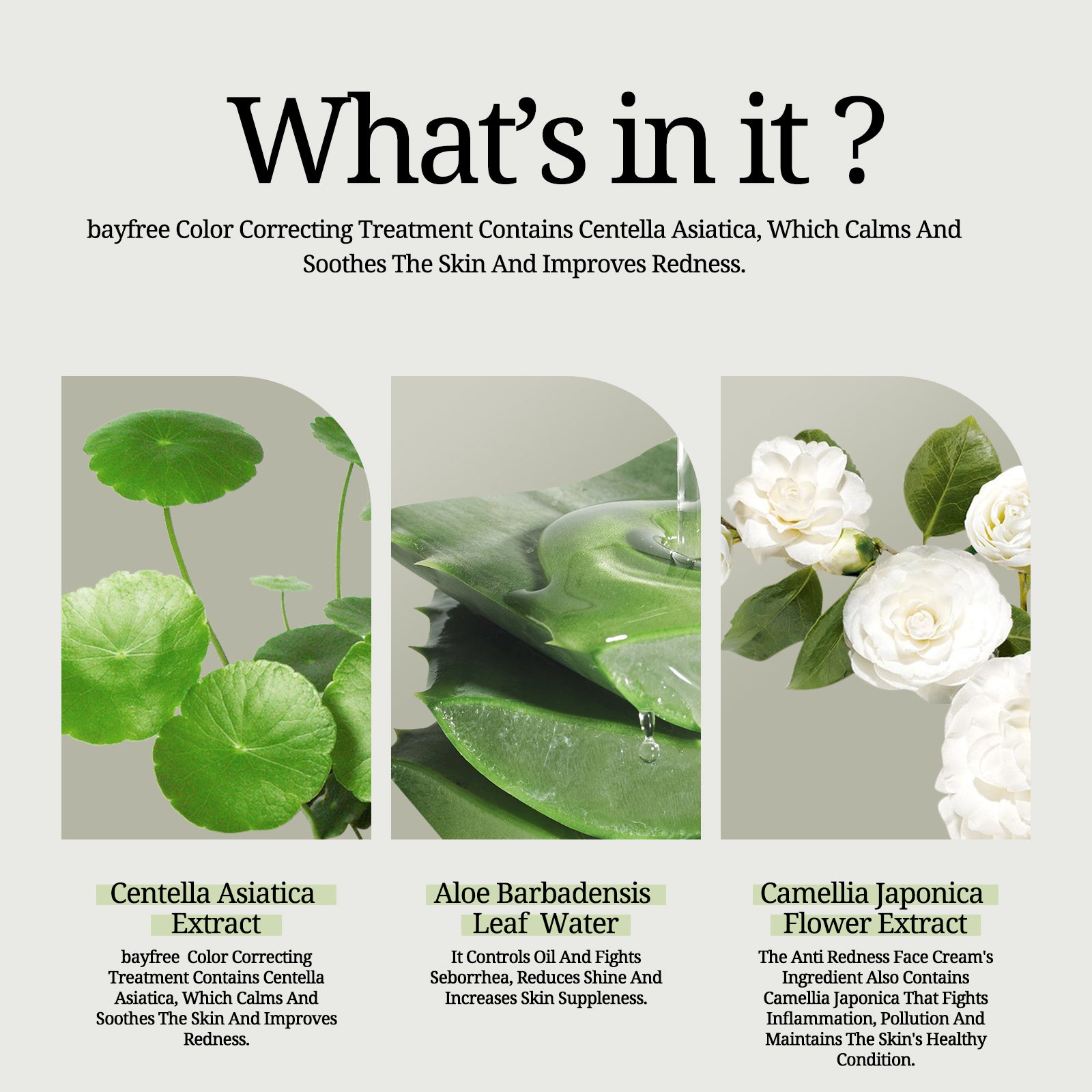 Cica Tiger Grass Color Correcting Treatment SPF 22